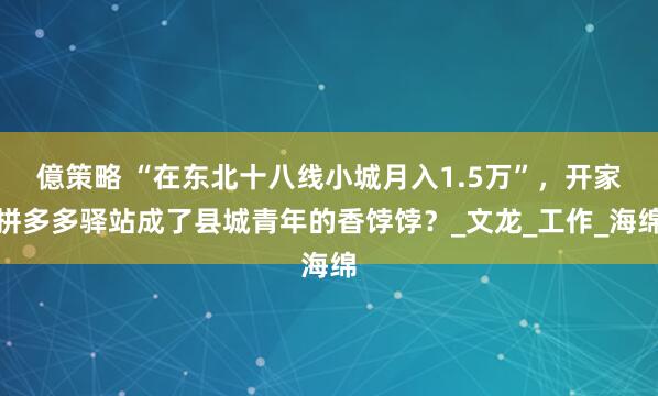 億策略 “在东北十八线小城月入1.5万”，开家拼多多驿站成了县城青年的香饽饽？_文龙_工作_海绵