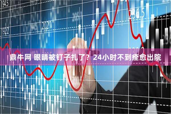 鼎牛网 眼睛被钉子扎了？24小时不到痊愈出院