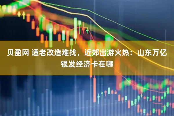 贝盈网 适老改造难找，近郊出游火热：山东万亿银发经济卡在哪