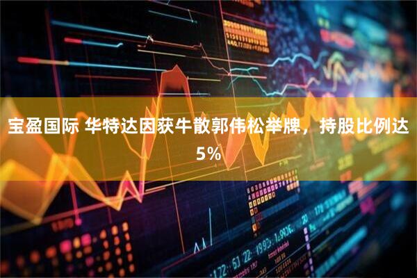 宝盈国际 华特达因获牛散郭伟松举牌，持股比例达5%