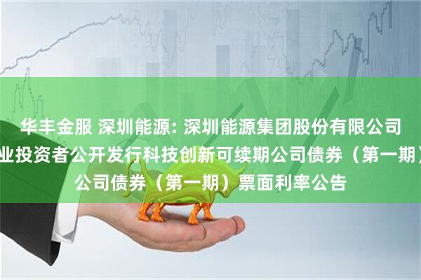 华丰金服 深圳能源: 深圳能源集团股份有限公司2025年面向专业投资者公开发行科技创新可续期公司债券（第一期）票面利率公告