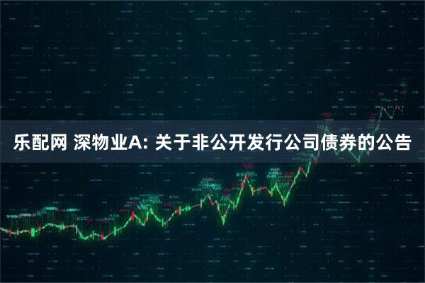 乐配网 深物业A: 关于非公开发行公司债券的公告