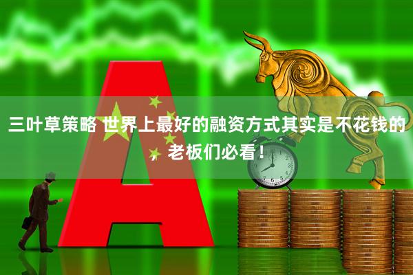 三叶草策略 世界上最好的融资方式其实是不花钱的，老板们必看！