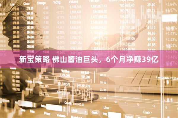 新宝策略 佛山酱油巨头，6个月净赚39亿