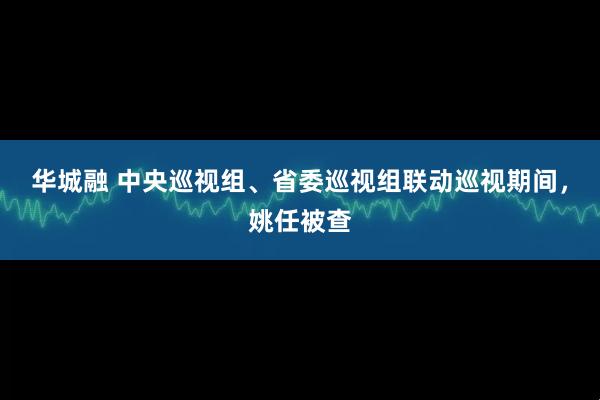 华城融 中央巡视组、省委巡视组联动巡视期间，姚任被查