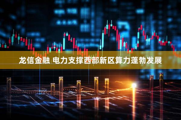 龙信金融 电力支撑西部新区算力蓬勃发展