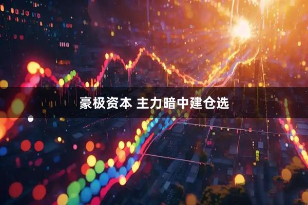 豪极资本 主力暗中建仓选