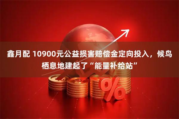 鑫月配 10900元公益损害赔偿金定向投入，候鸟栖息地建起了“能量补给站”
