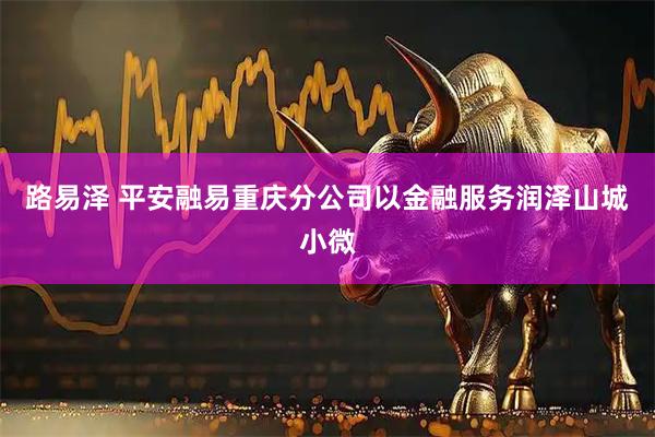 路易泽 平安融易重庆分公司以金融服务润泽山城小微
