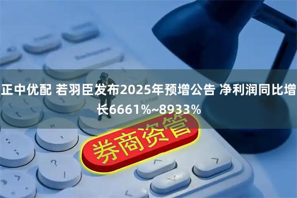正中优配 若羽臣发布2025年预增公告 净利润同比增长6661%~8933%