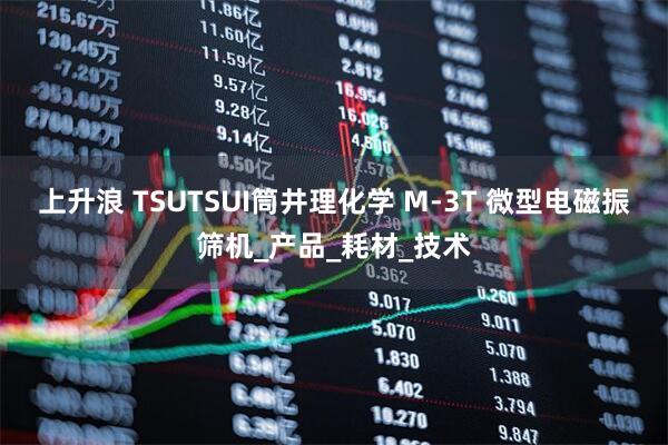 上升浪 TSUTSUI筒井理化学 M-3T 微型电磁振筛机_产品_耗材_技术